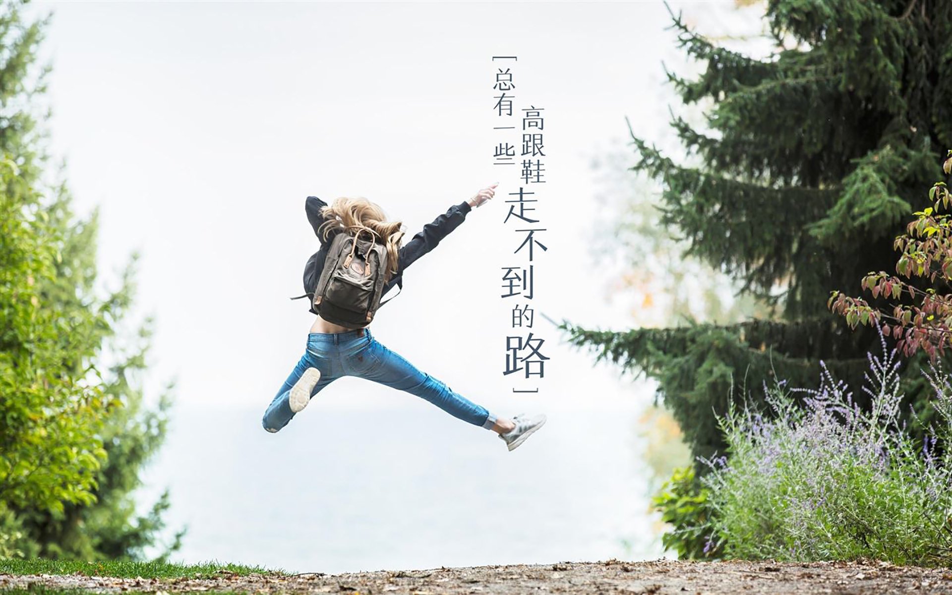 _奇才全队协作，稳扎稳打追求胜利_，奇才队队员名单