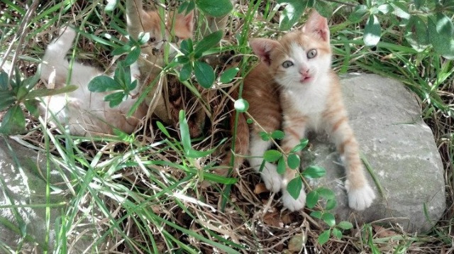 一线明星助阵，点燃现场气氛，一线明星榜