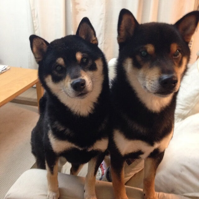 中国青少年篮球训练体系再升级，打造制度化培养模式，中国青少年篮球培训大纲